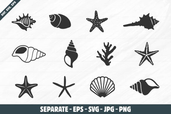 Download Sea Shell Silhouettes, Sea Shell Svg - Svg Collection