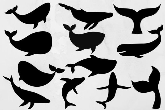 Download Whale Svg Bundle - Svg Collection